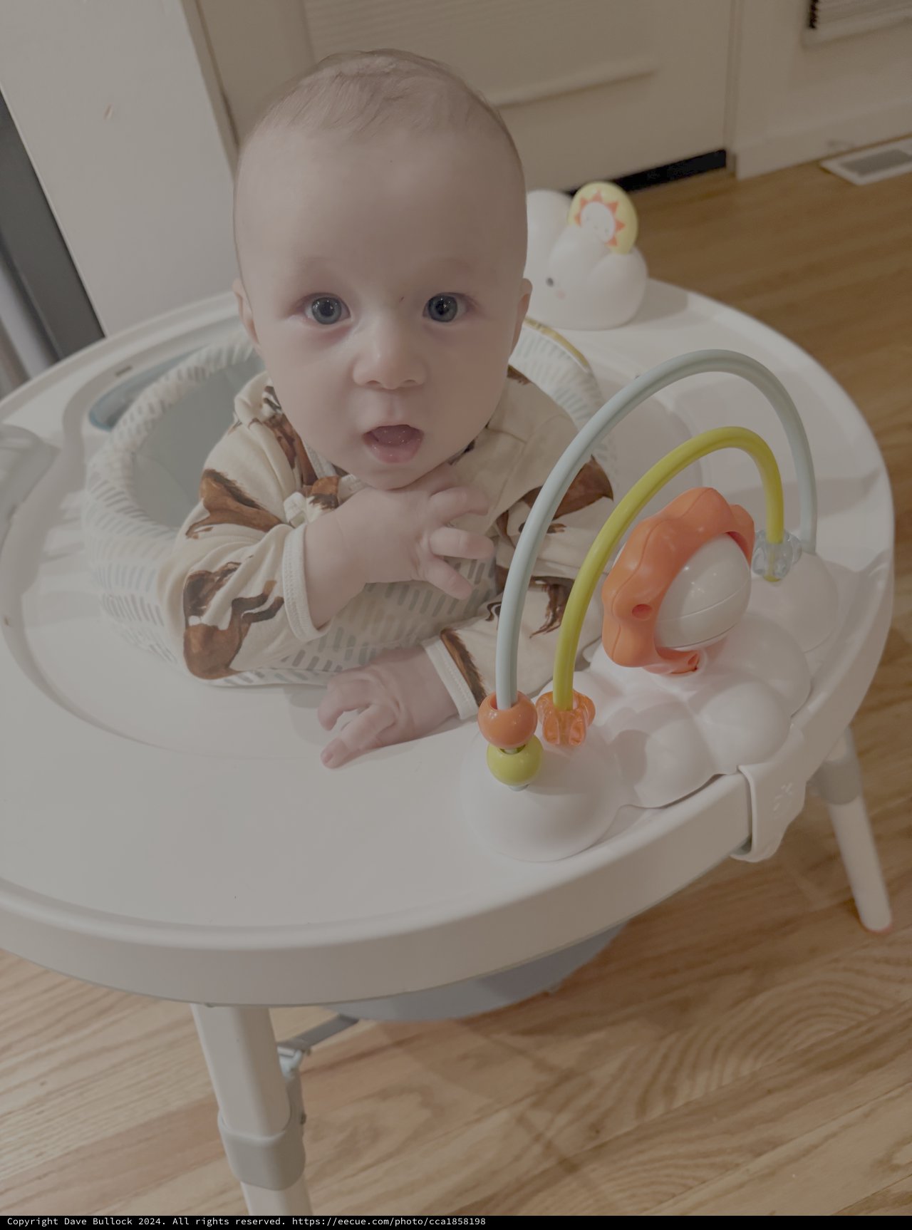 Baby's First Moments in Activity Seat