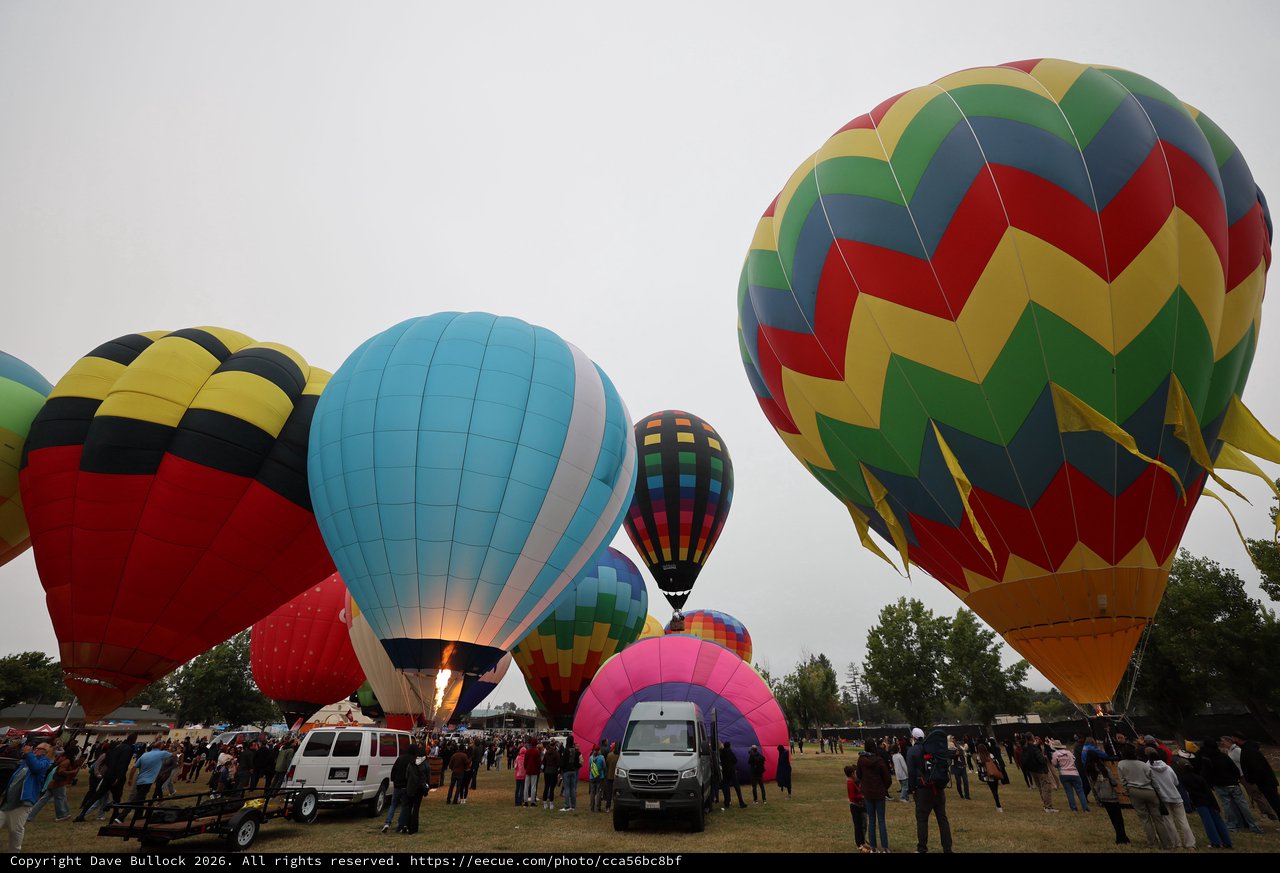 Colorful Hot Air Balloons Fill the Sky at Festival