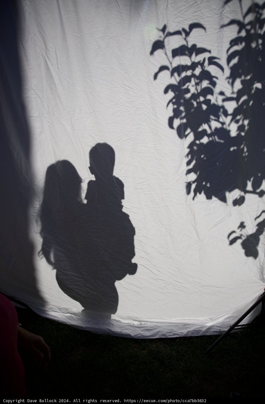 Shadows of a New Beginning