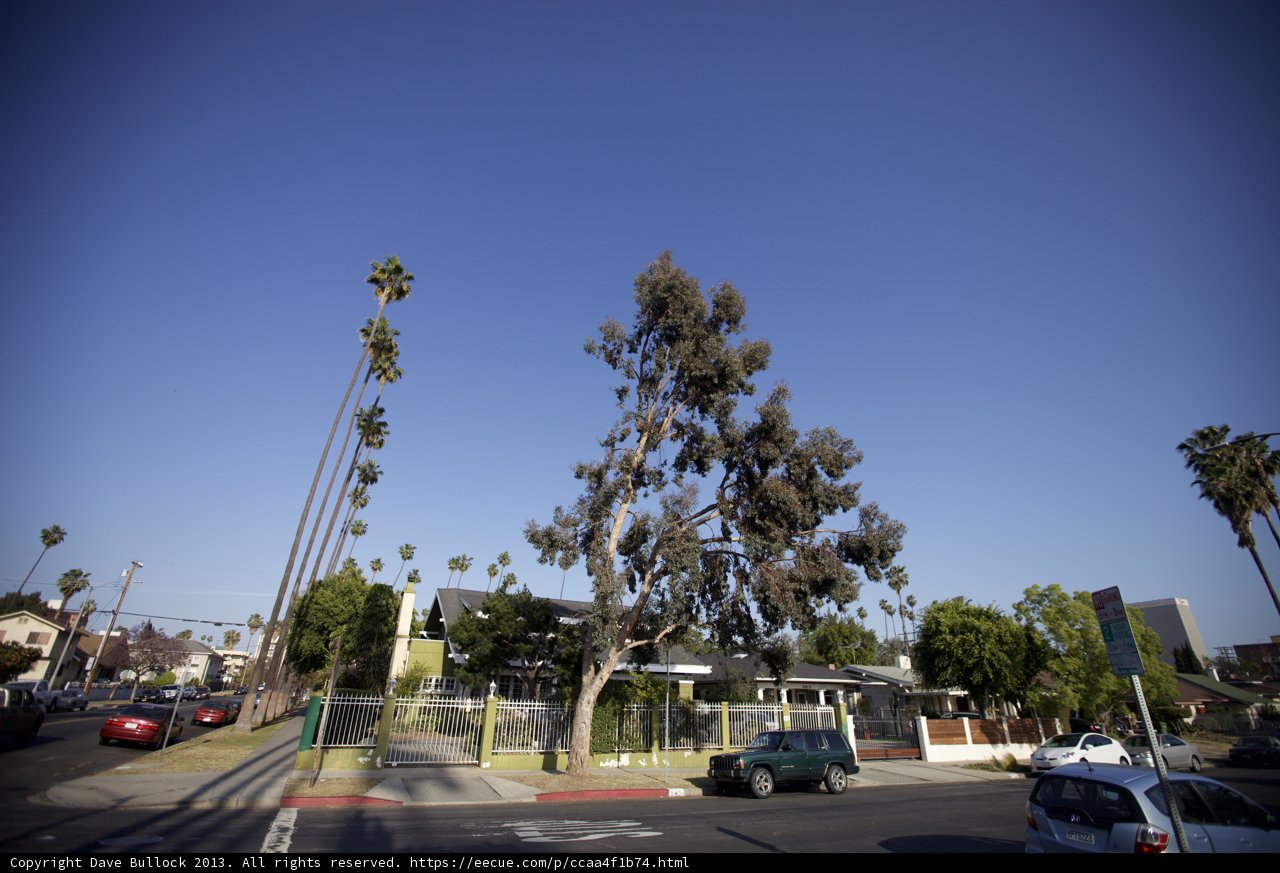 Stop and look at the tree