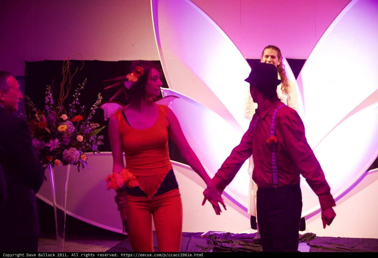 The Purple Flamenco Dancers
