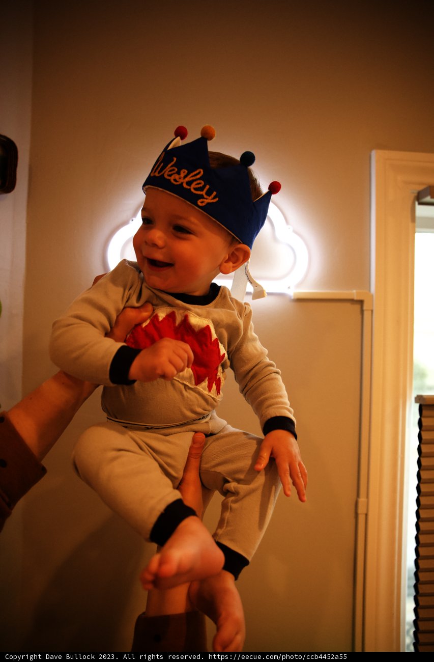 Wesley's First Birthday Celebration!