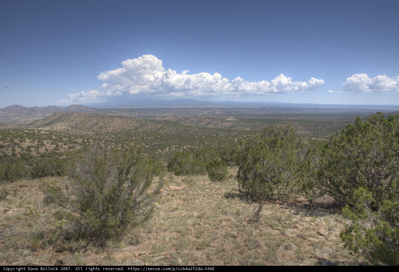 New Mexico Sky