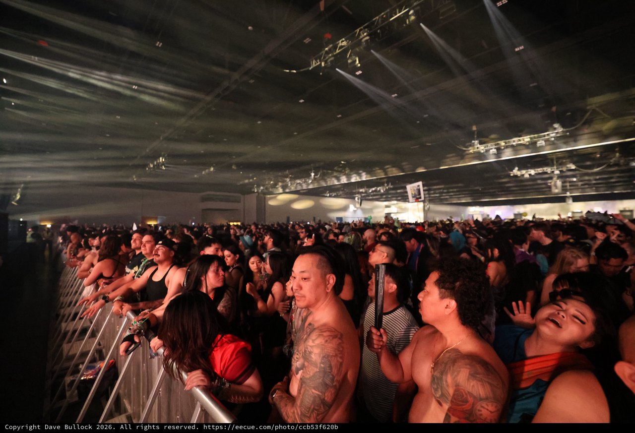 Massive Indoor Crowd Surges at Wobbleland 2026