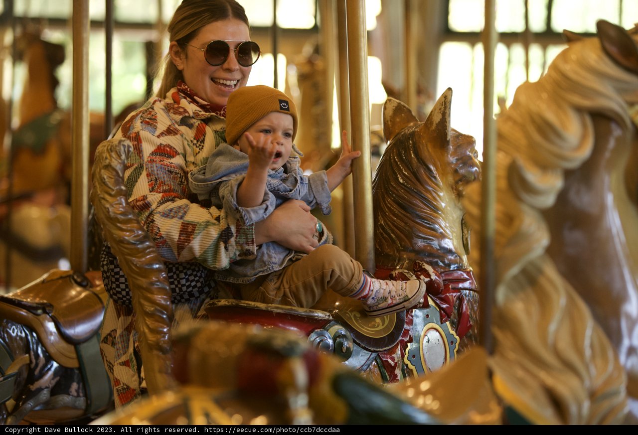Spinning Memories on the Carousel