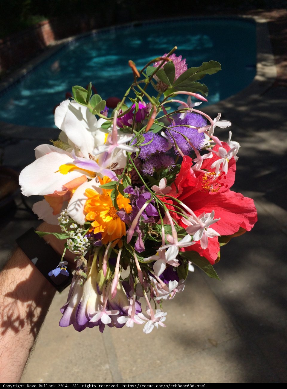 Poolside Florals