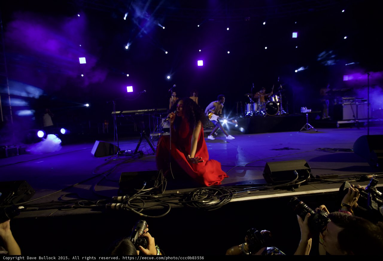 Solange Kneeling Singing Red Dress Photo Pit Band