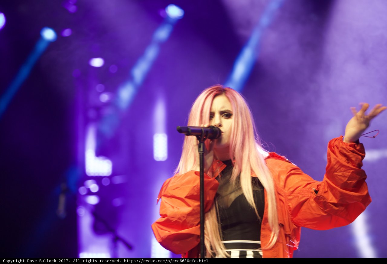 Pink-haired Singer Takes the Stage at Coachella