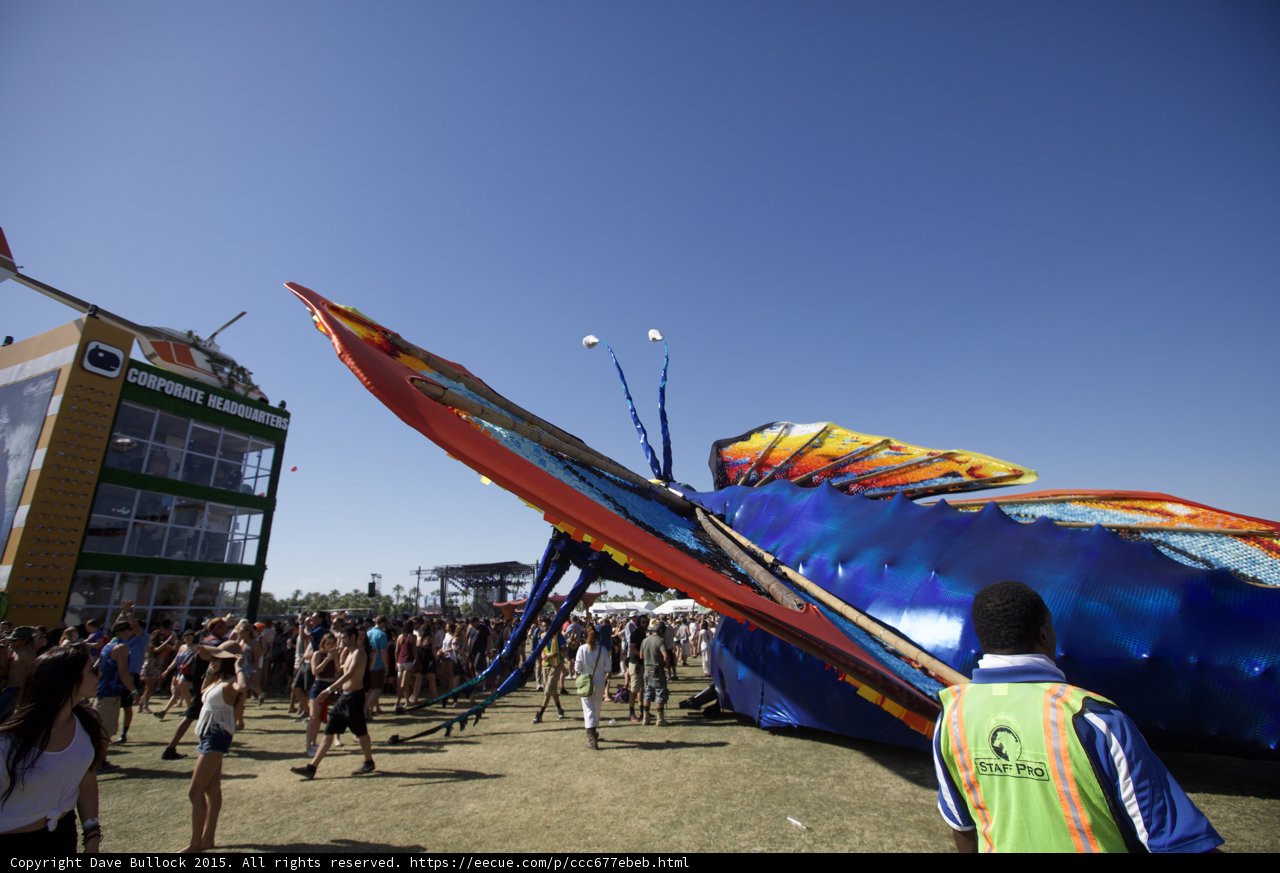 Majestic Butterfly Takes Flight at Coachella