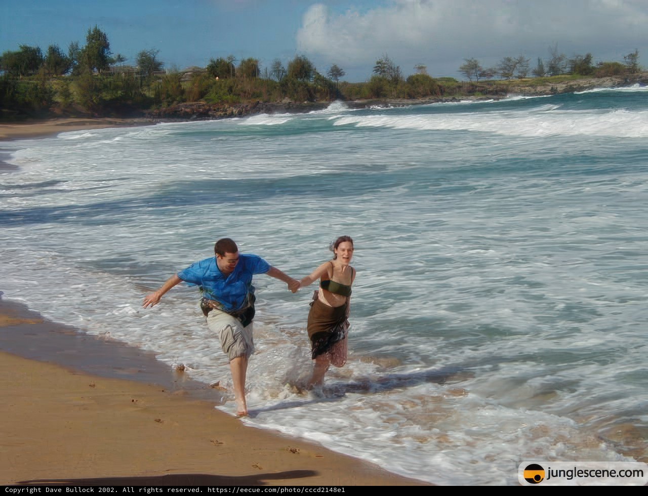 Taking the Plunge