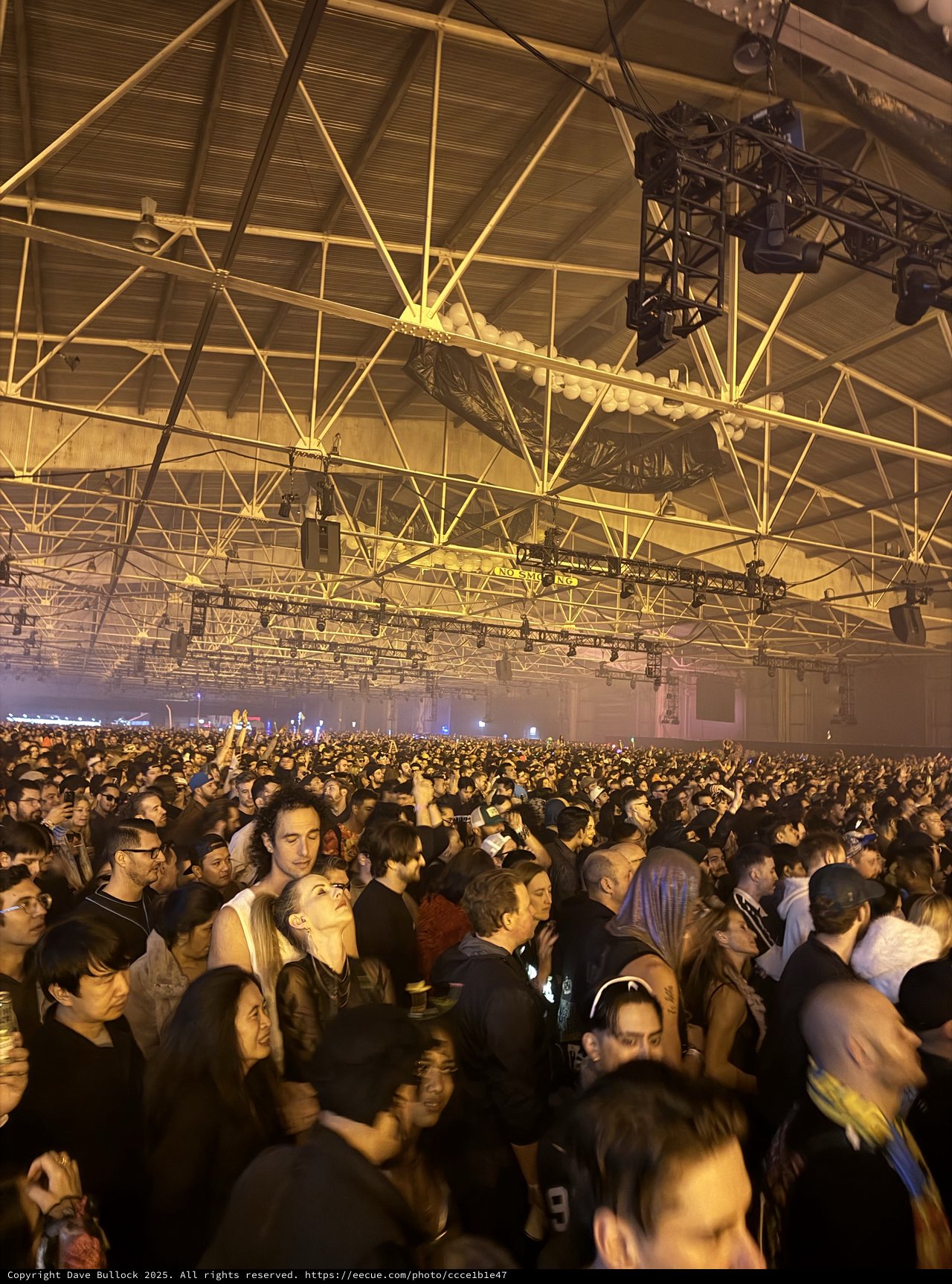 Massive Crowd at Indoor Electronic Music Festival