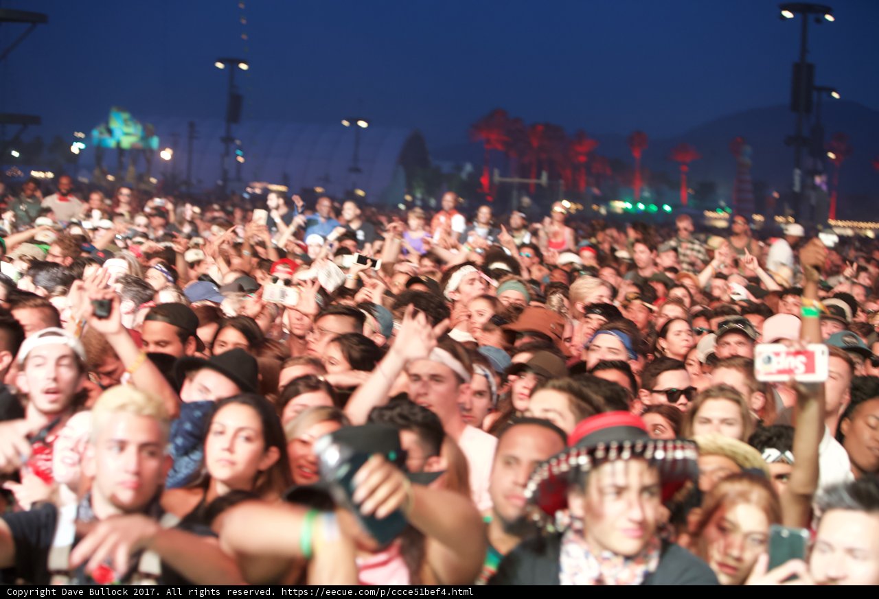 Music Festival Madness