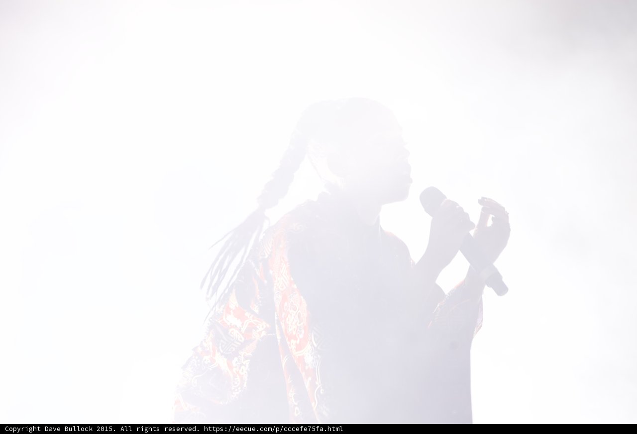 FKA twigs High Key Silhouette White Light Profile Singing Braided Ponytail Red Brocade Kimono Ethereal