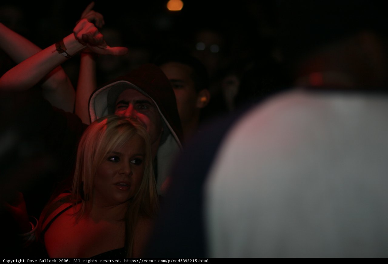 Night Club Vibes