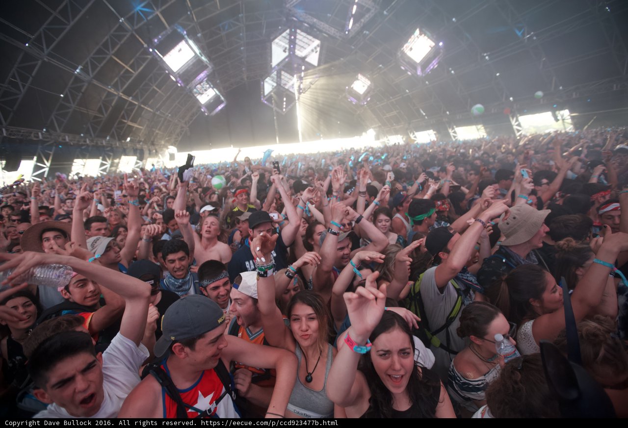 Music Festival Madness