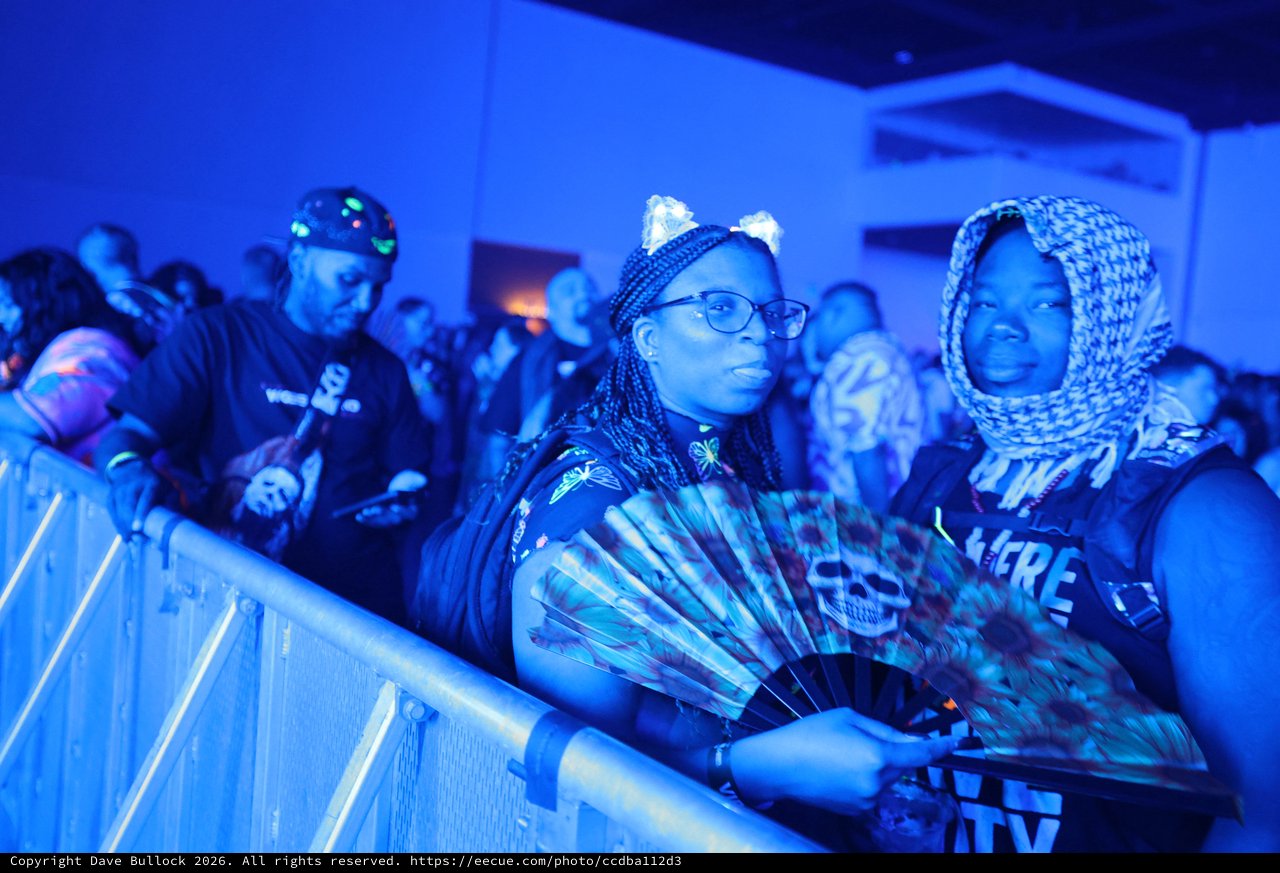 Concert Fans Bathed in Blue Light at Wobbleland