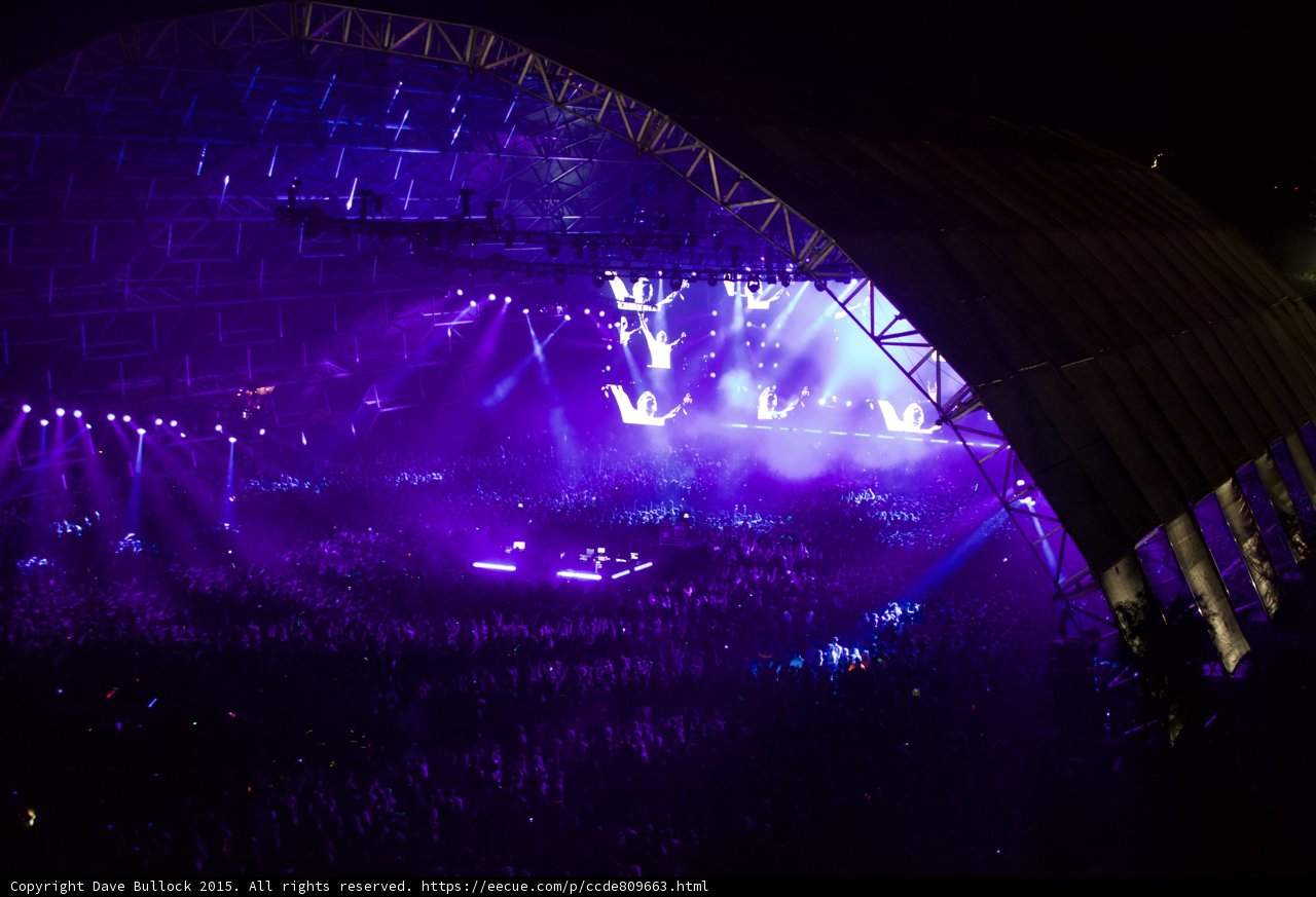 Purple Haze at Coachella