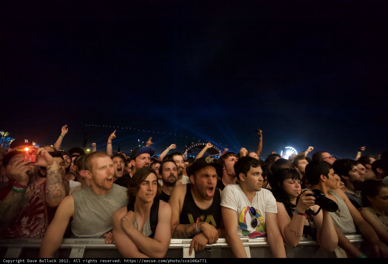 Electric Night: The Crowded Concert