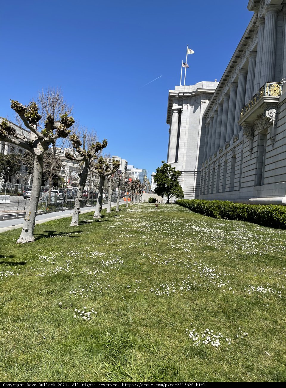Serenity at San Francisco City Hall