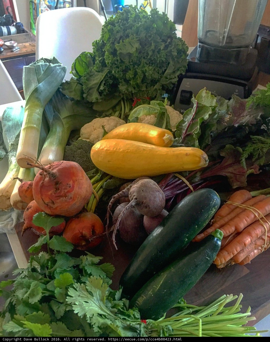 Fresh Harvest Bounty