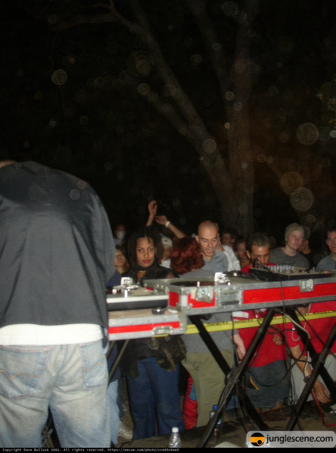 Summer Grooves