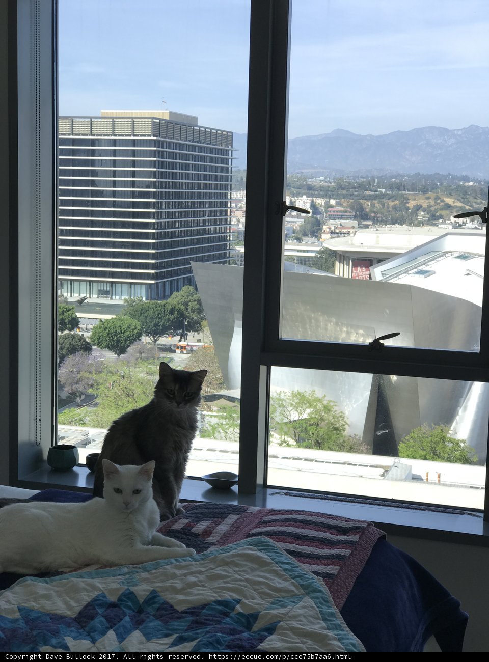 Feline Friends on Linen Bed