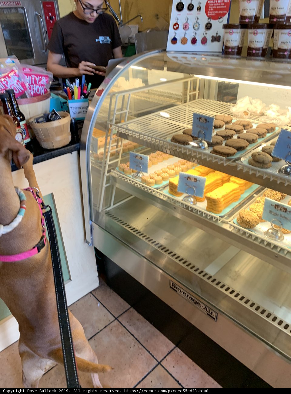 Sweet Temptations