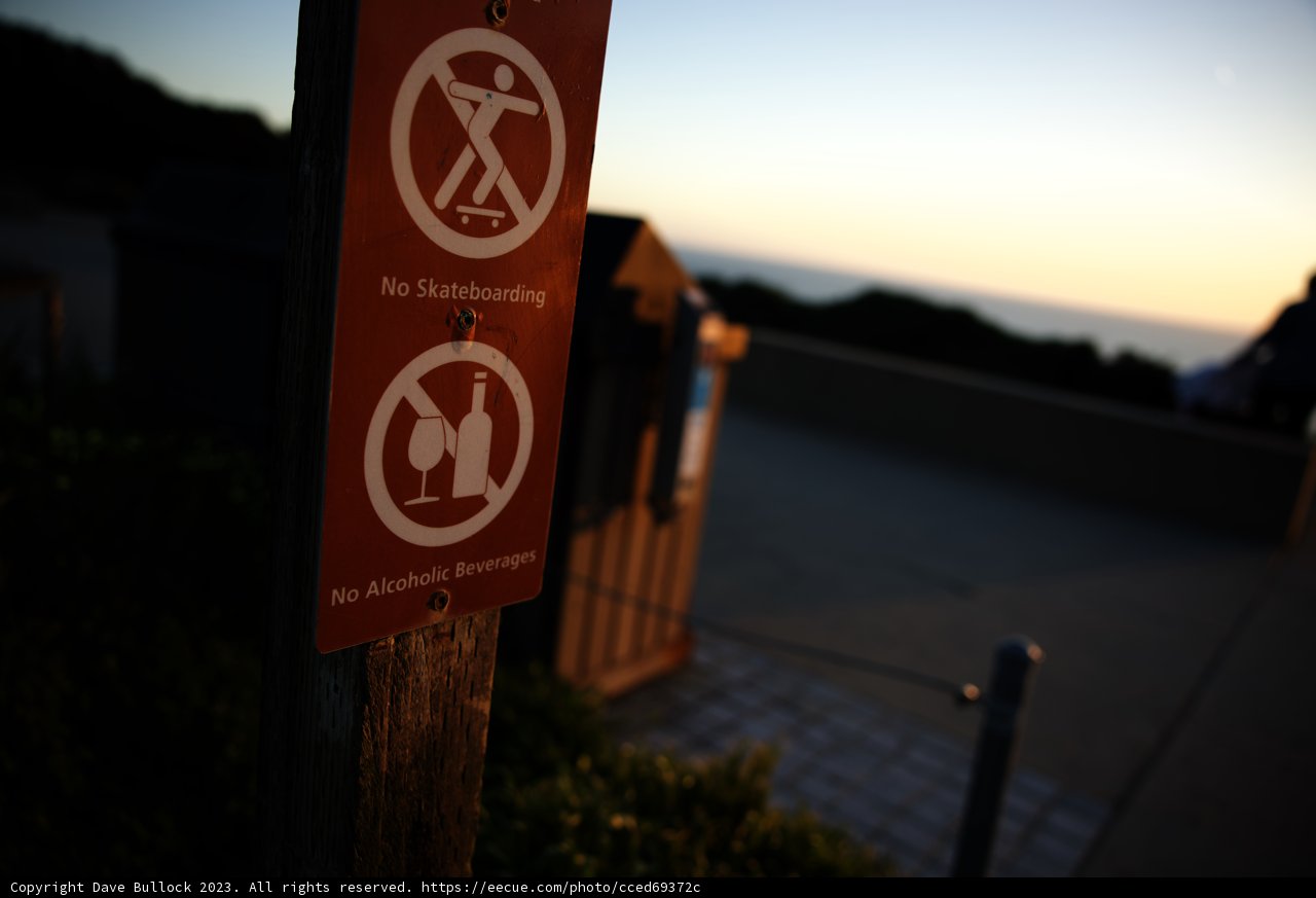 Canine-Free Zone at Sutro Baths
