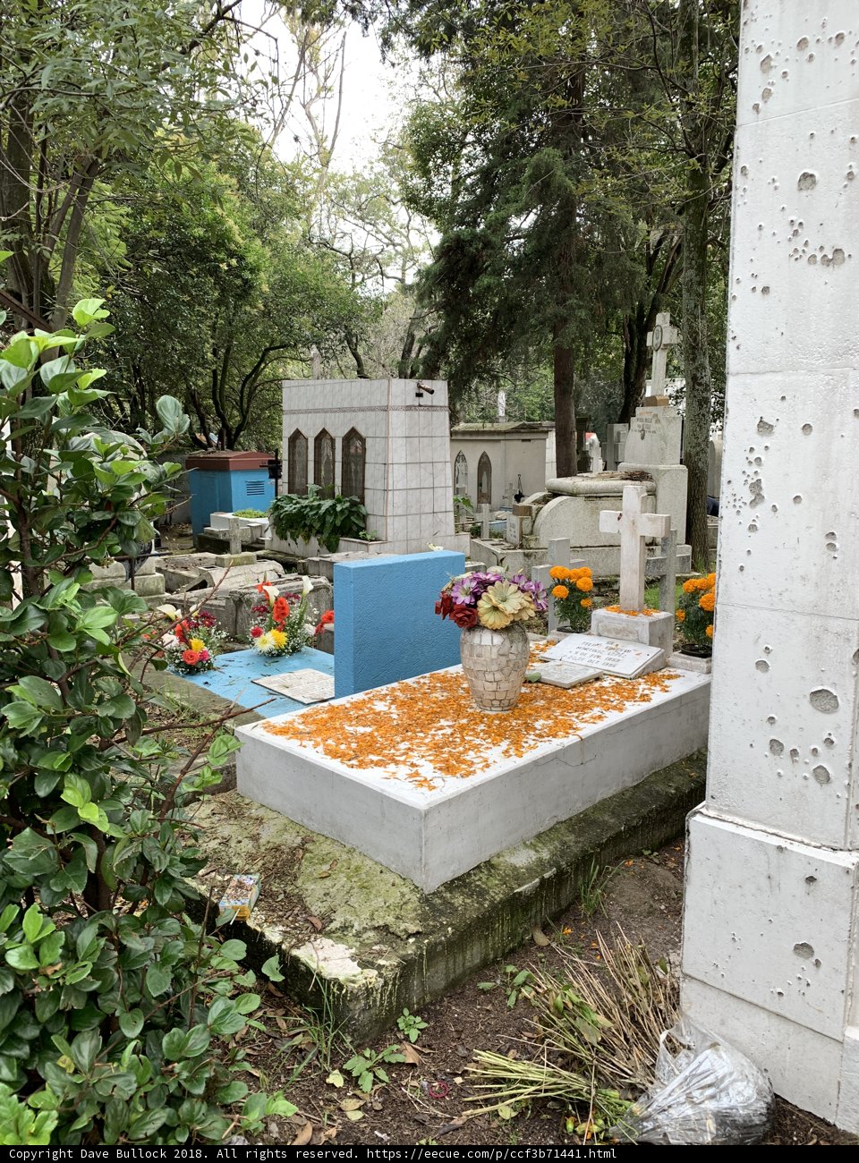 Contrast in a Cemetery