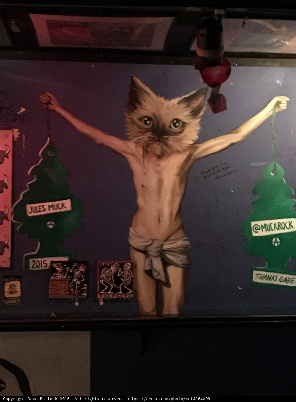 Feline Symbolism