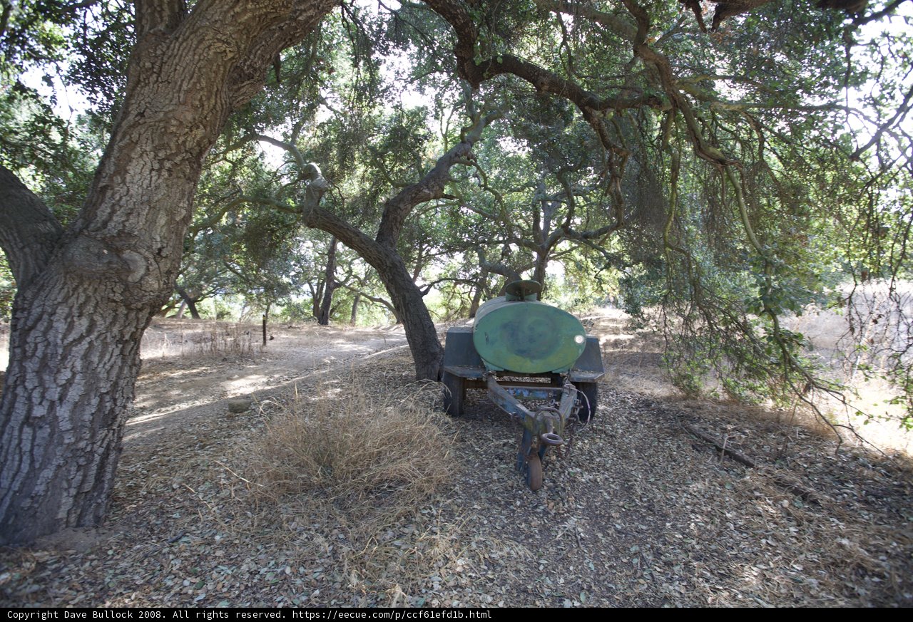 Cart Parked Under a Majestic Tree