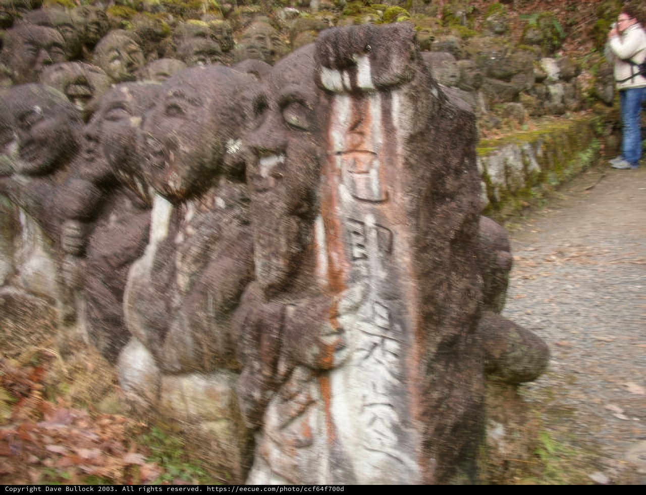 Stones and Wildlife in Kyoto City
