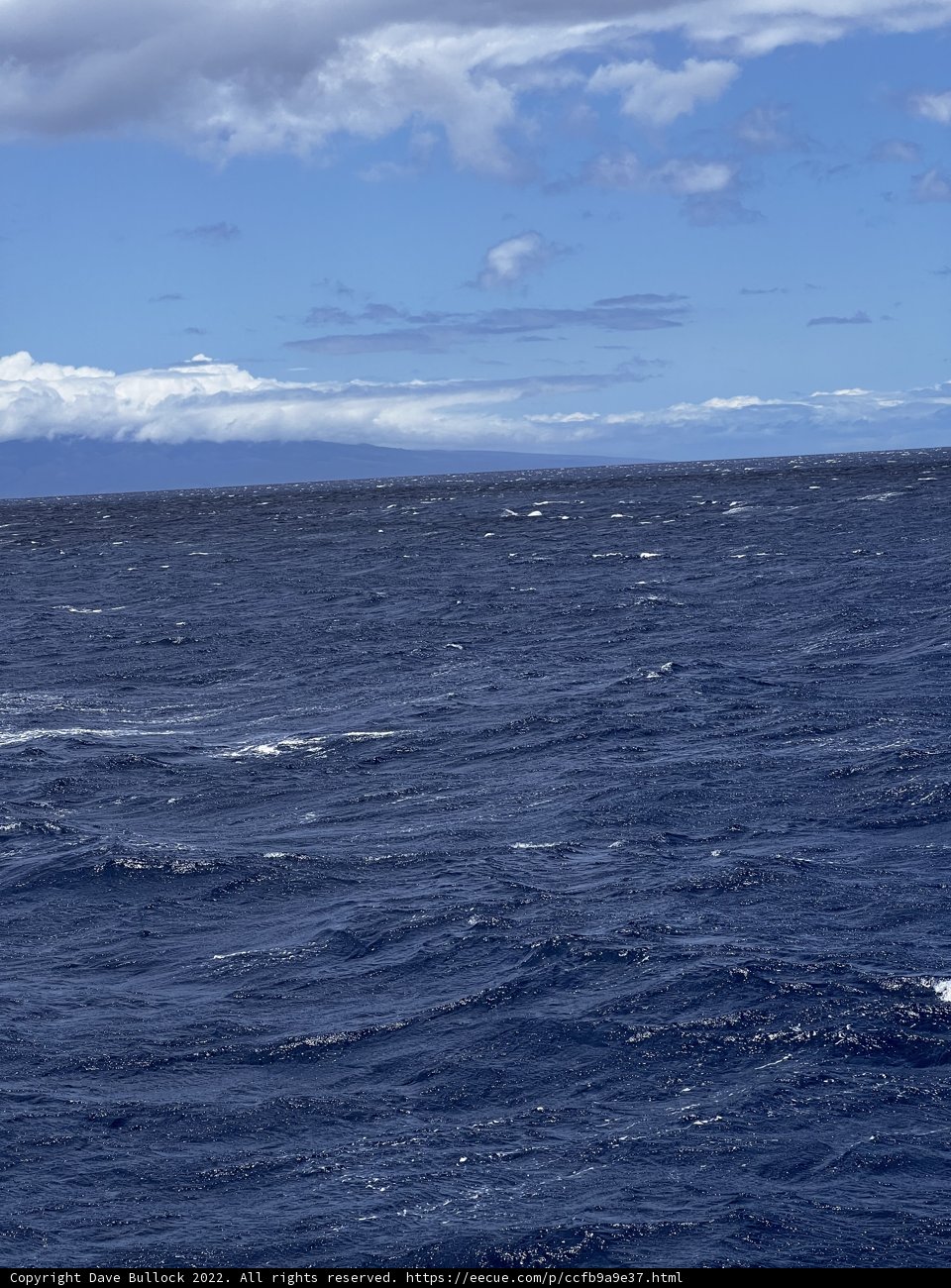 Sailing into the vast blue horizon
