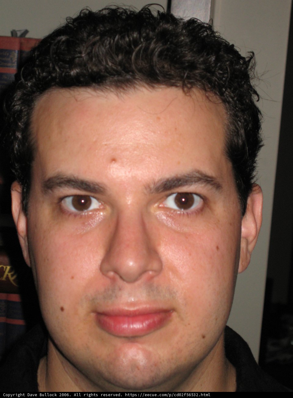 Dave B's Portrait
