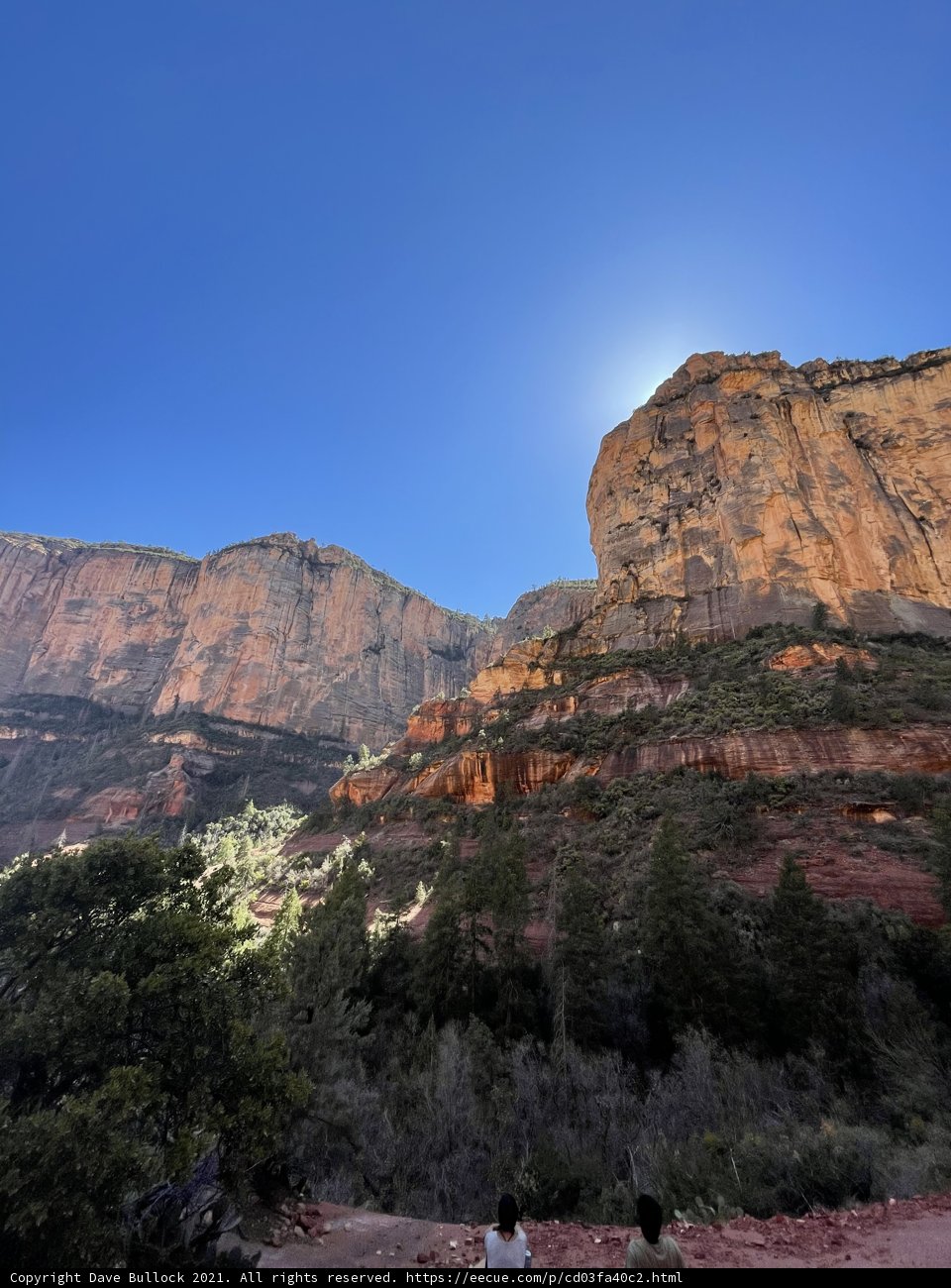 Canyon Beauty