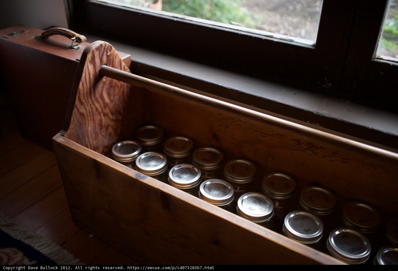 Cabinet of Curiosities