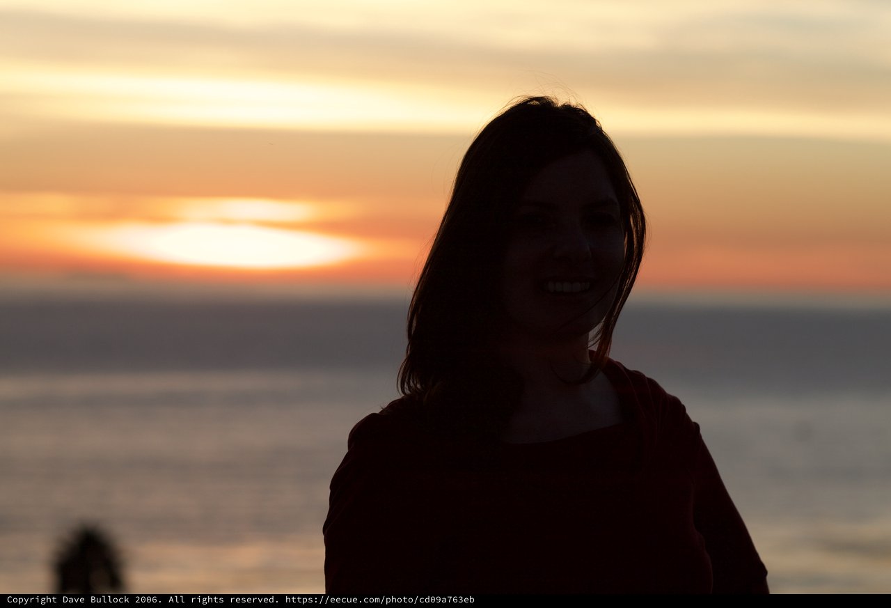Smiling Silhouette Against a Golden Sunset Sea