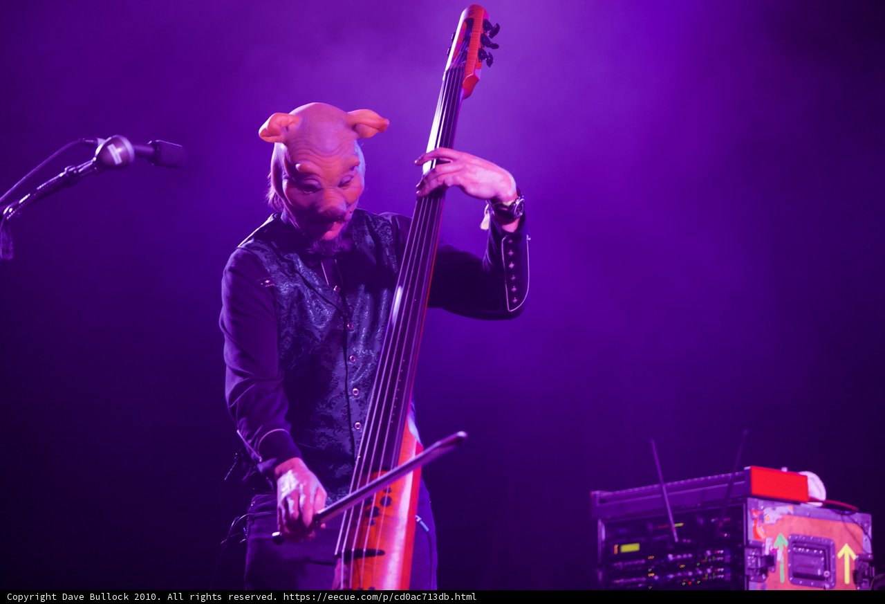 Masked Musician
