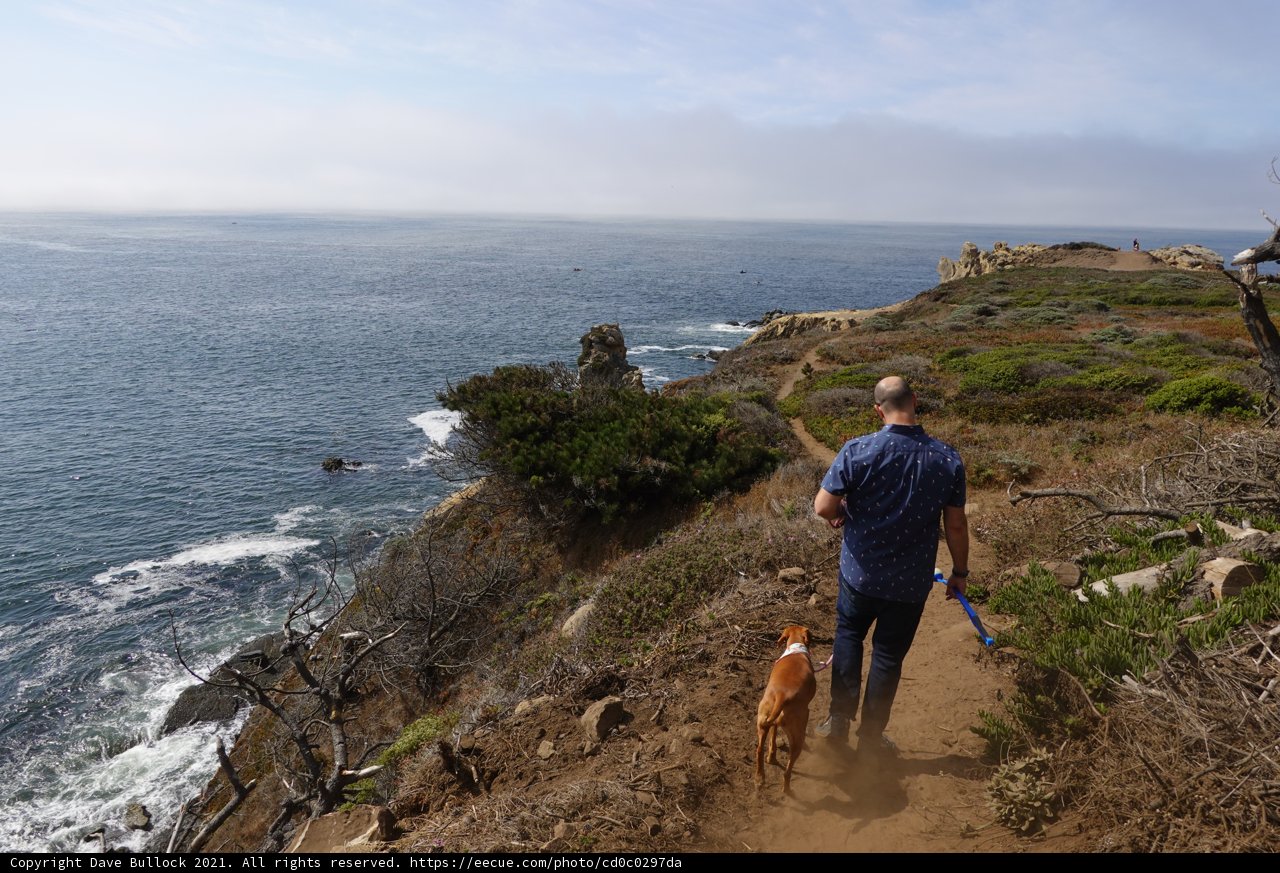Walking Man and Hound on the Coastal Trail
