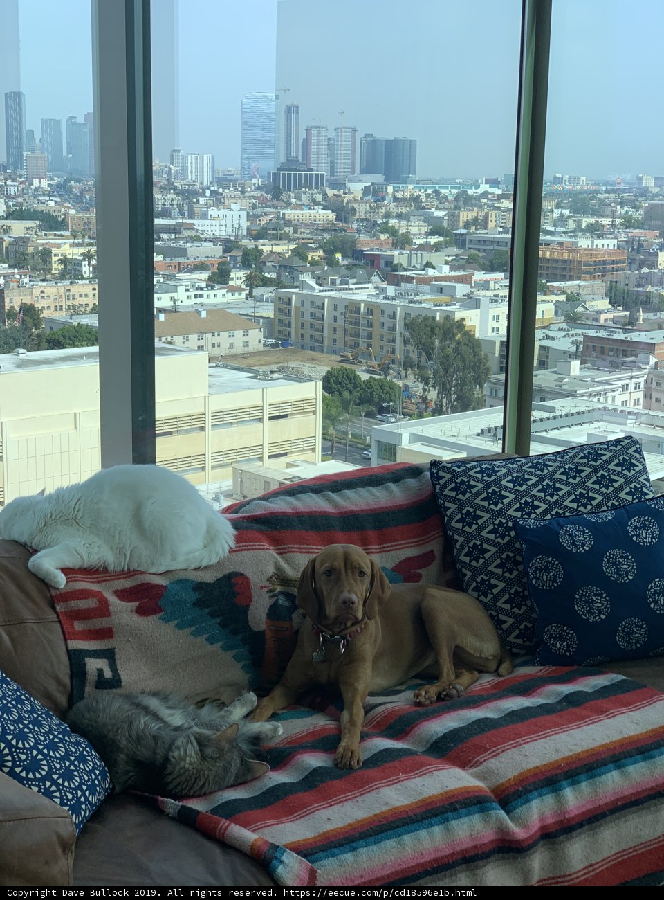 Cozy Living Room Cuddles