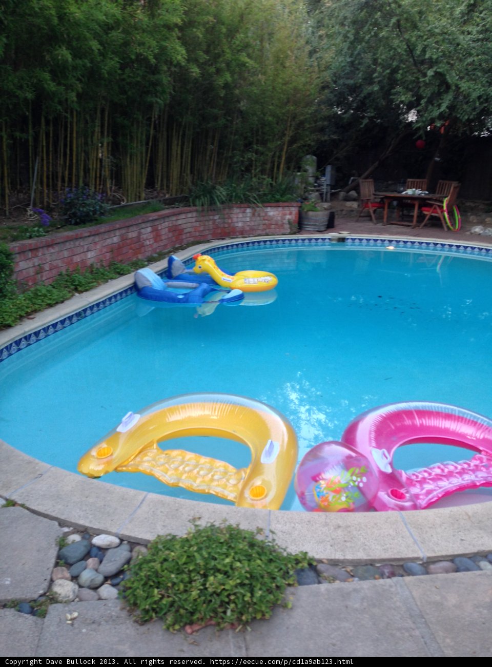 Summer Fun on the Blue and Yellow Raft in Altadena Pool