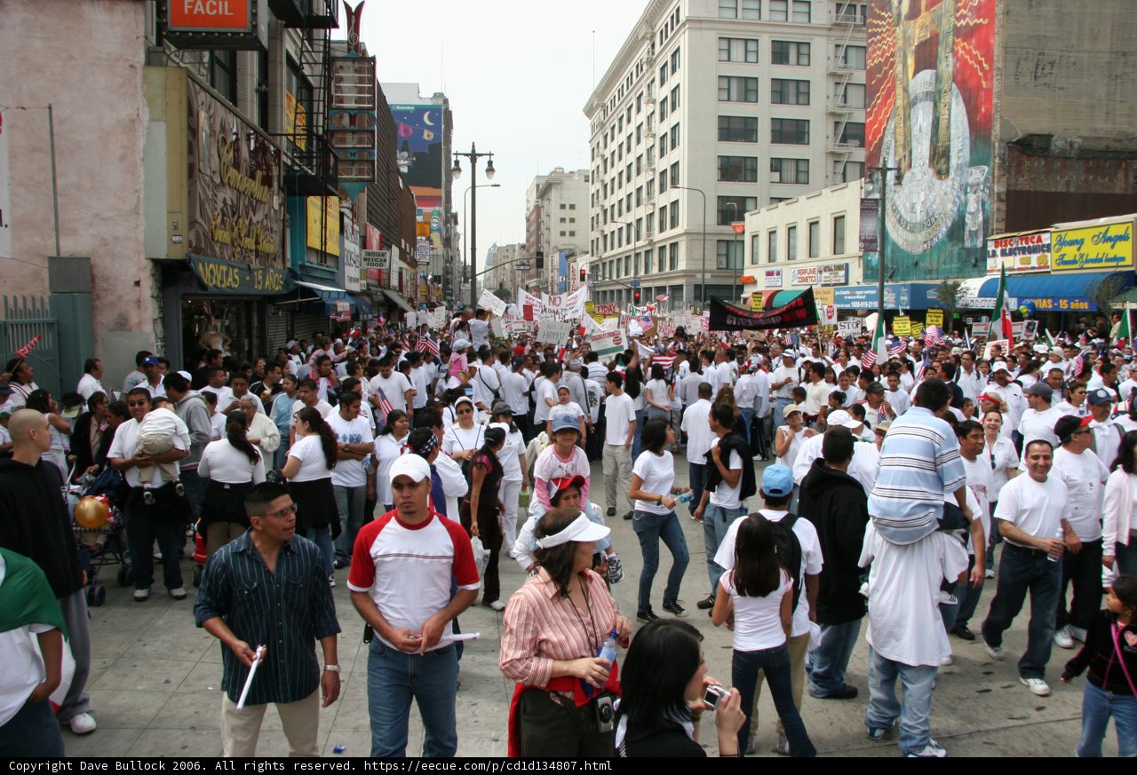 A Sea of White