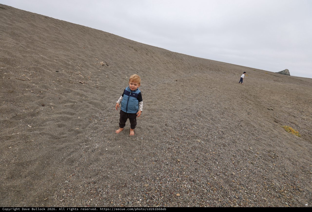 Barefoot Toddler Conquering a Coastal Sand Dune
