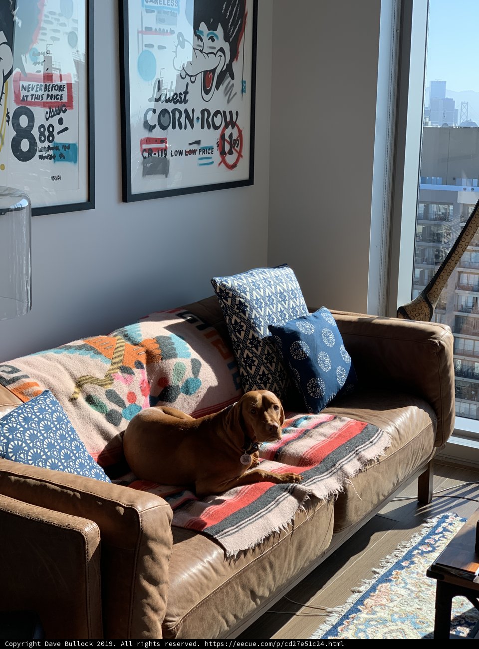 Cozy Couch in the Bay Area
