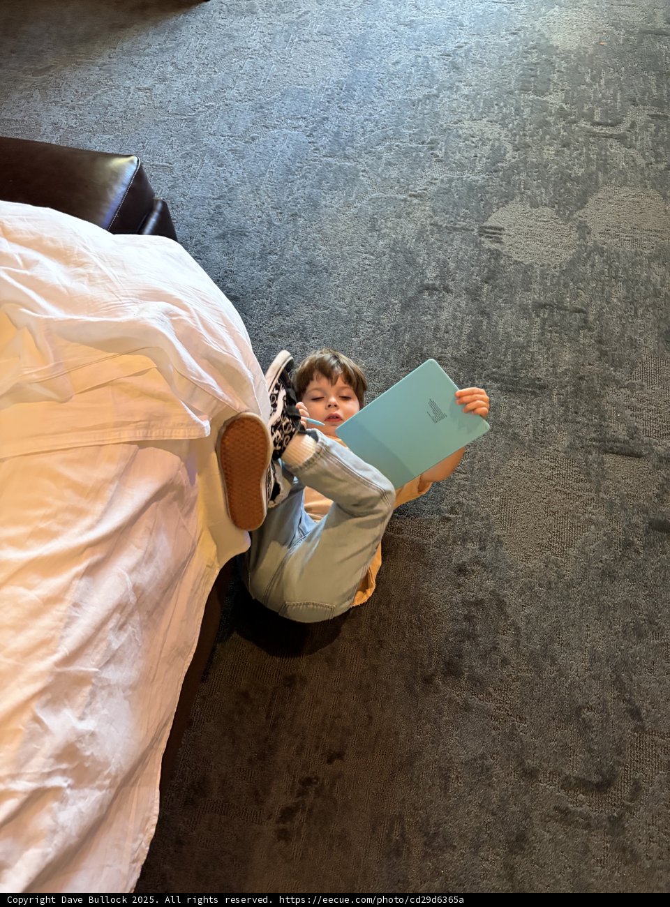 Cozy Morning Read