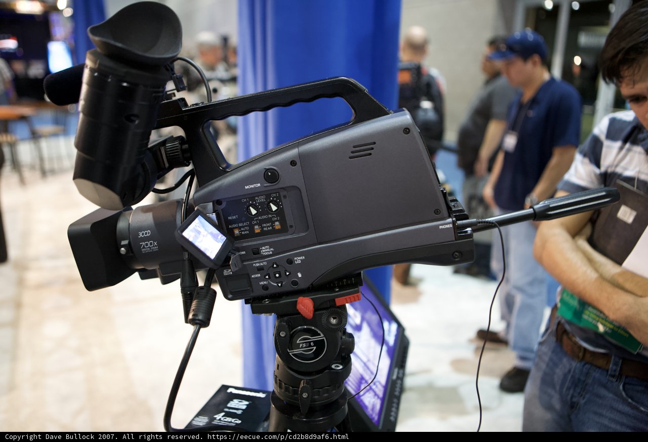 Captivating Camera Enthusiast