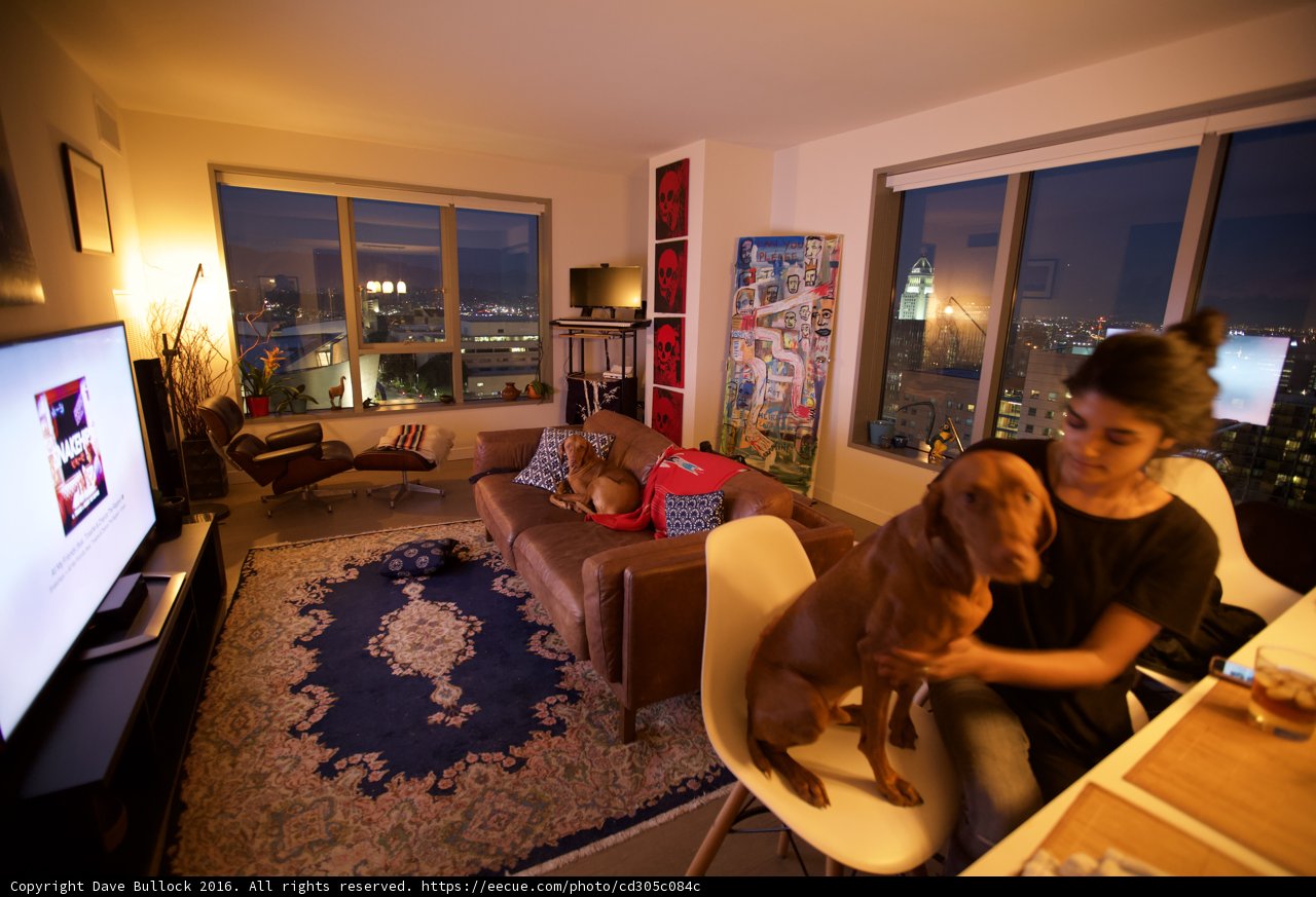 Woman and Dog in Chic Living Room