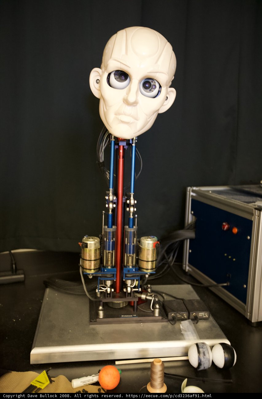 Robotic Companion