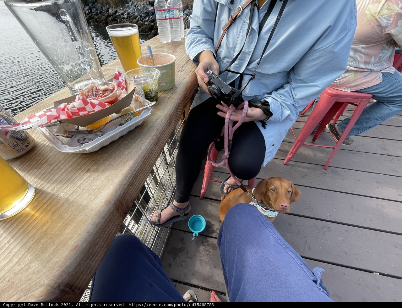 A Woman's Best Friend