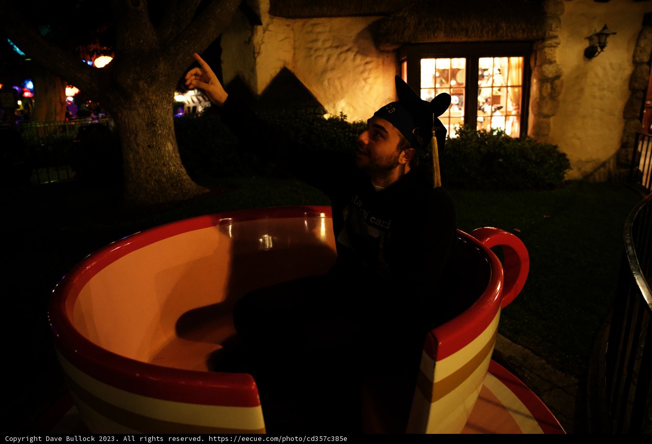 Whimsical Teacup Adventure